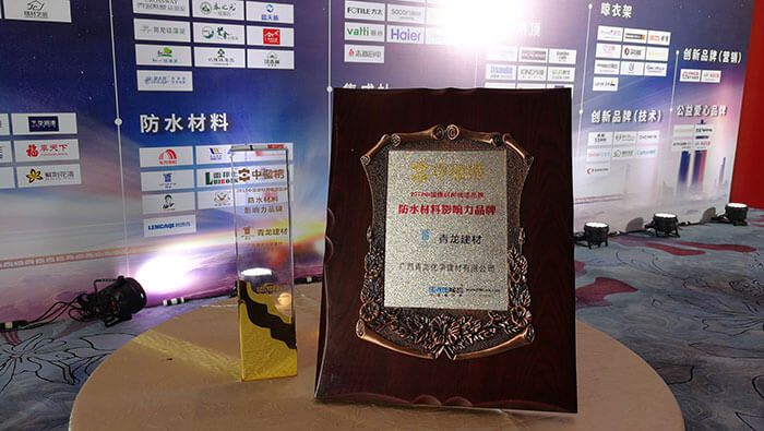 China Building Materials Networks Preferred Brand Award Ceremony Ended Successfully, And Qinglong C(图5)