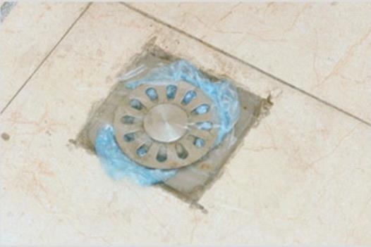 Floor Drain