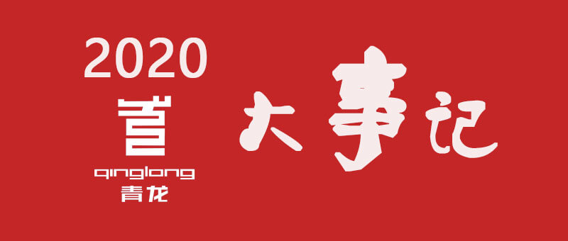 2020 QINGLONG Memorable Moments - Goodbye 2020 and Welcome 2021!