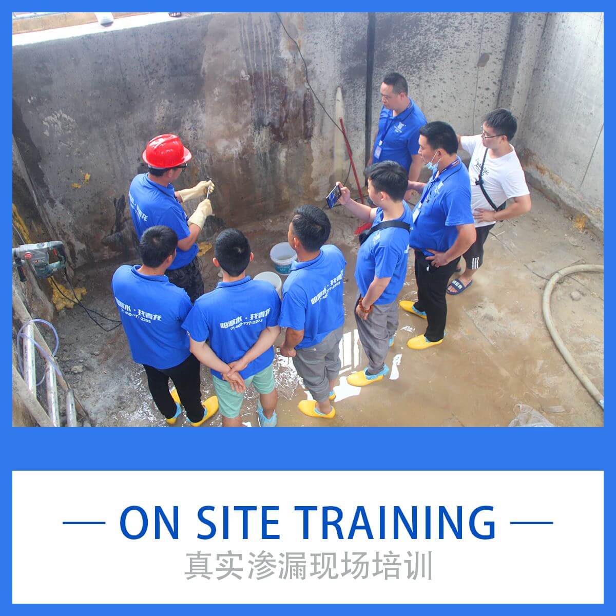 QINGLONG WATERPROOFING DEALER