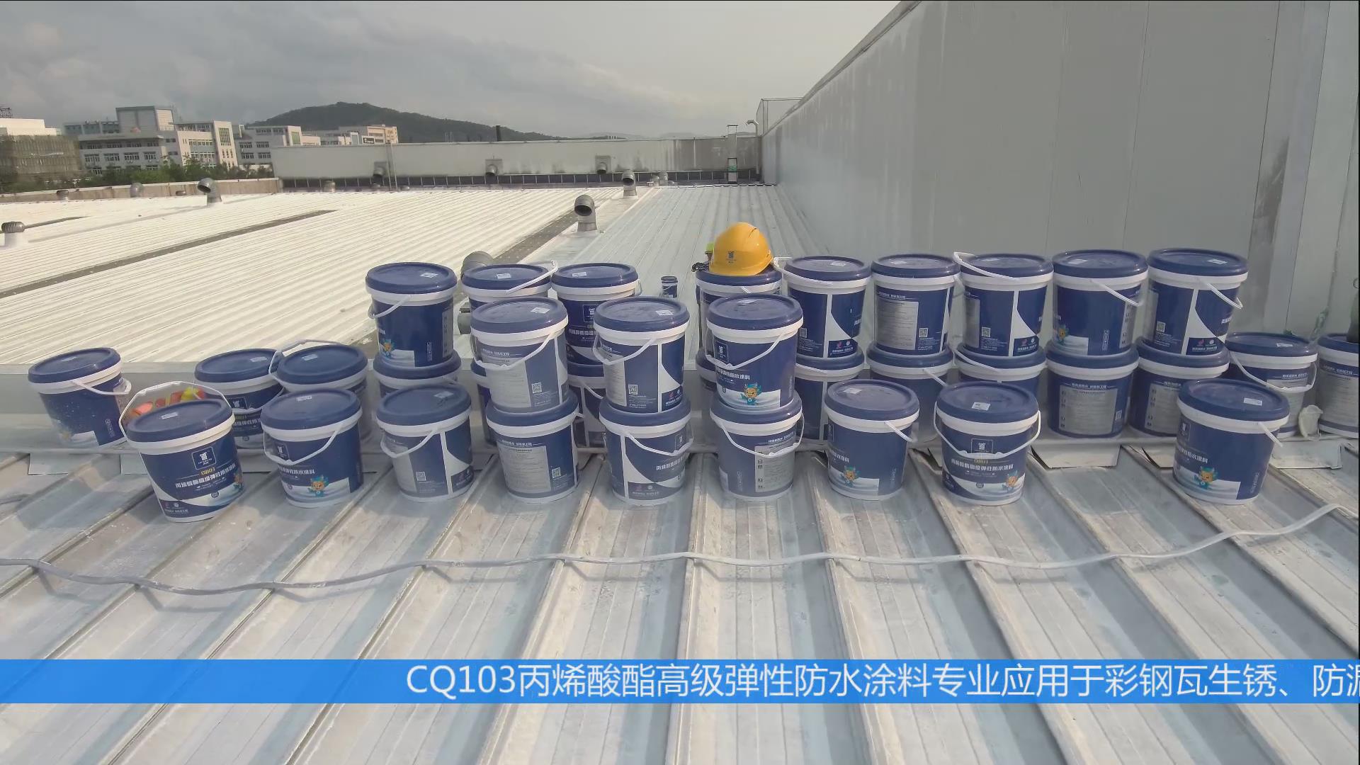 QL-Roofing Waterproof Coating