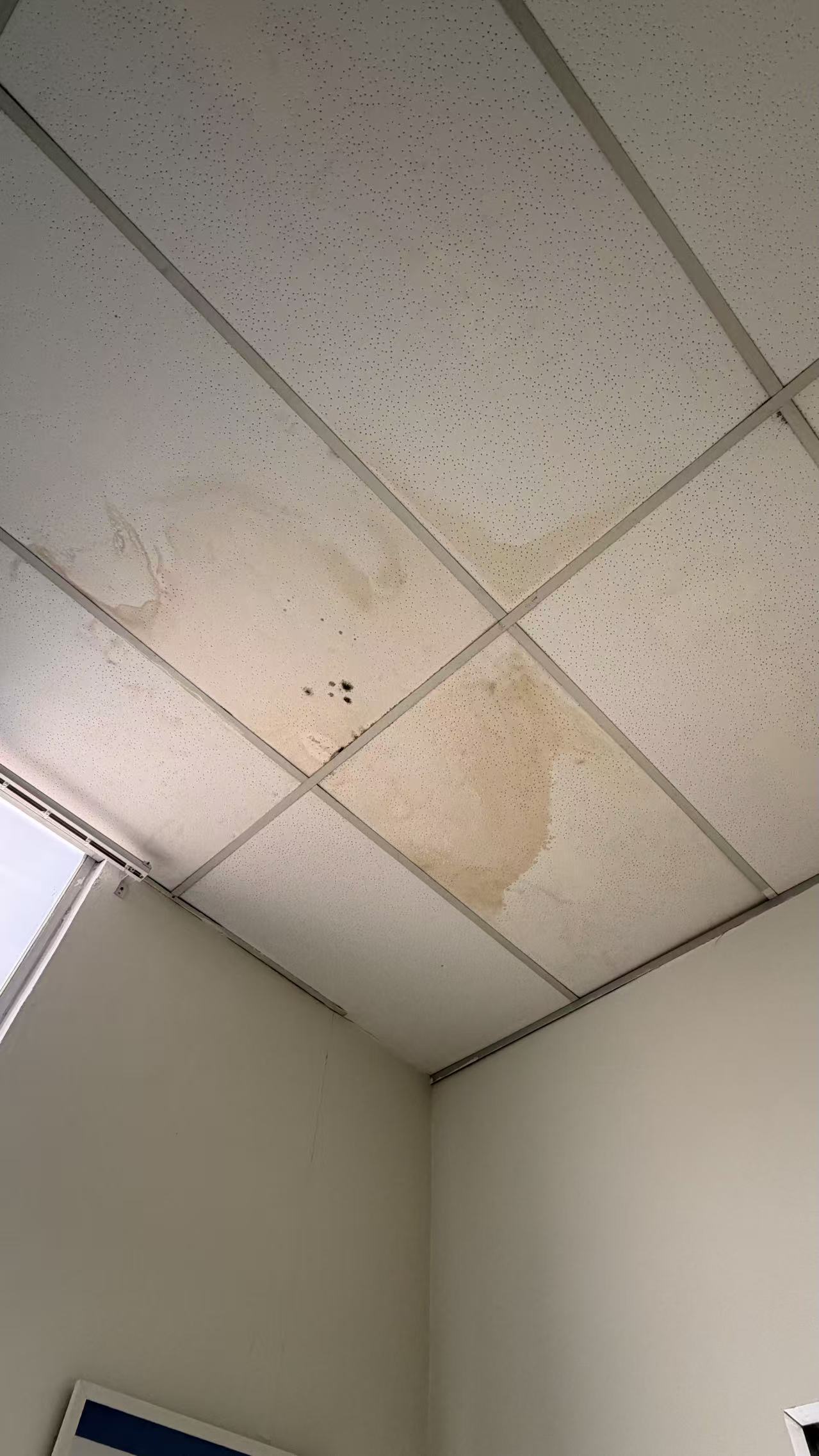 What Is Water Ingress? Causes, Warning Signs & Waterproofing Solutions in Malaysia