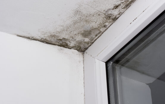 Water Ingress in Concrete Structures